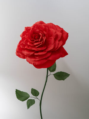 Large Red Rose