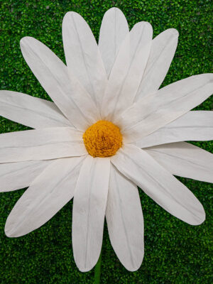 Large White Daisy