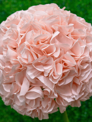 Light Pink Hydrangea