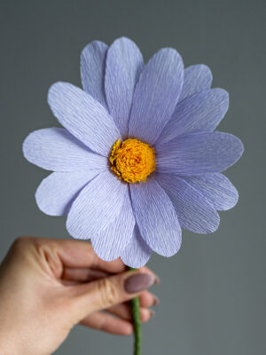 Purple Daisy